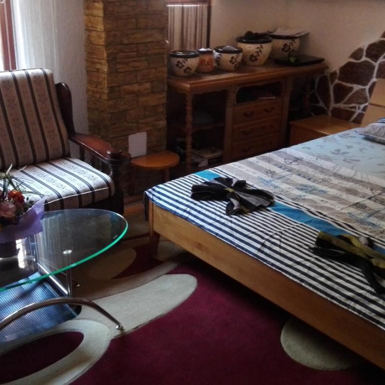 Apartman Studio Nedović - Apartman - Prizemlje - 7