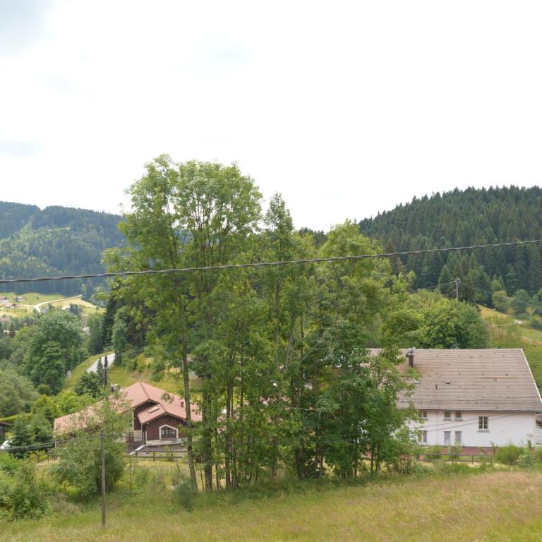 Chalet du Tremplin - Maison 3 Chambres - 2