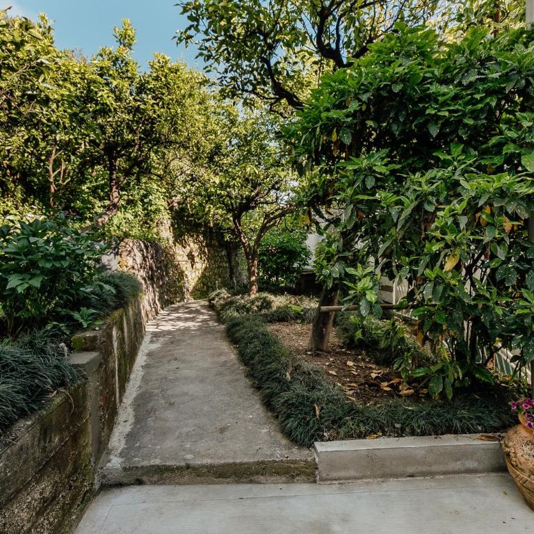 Boka Apartment 4 - One-Bedroom Apartment - 15