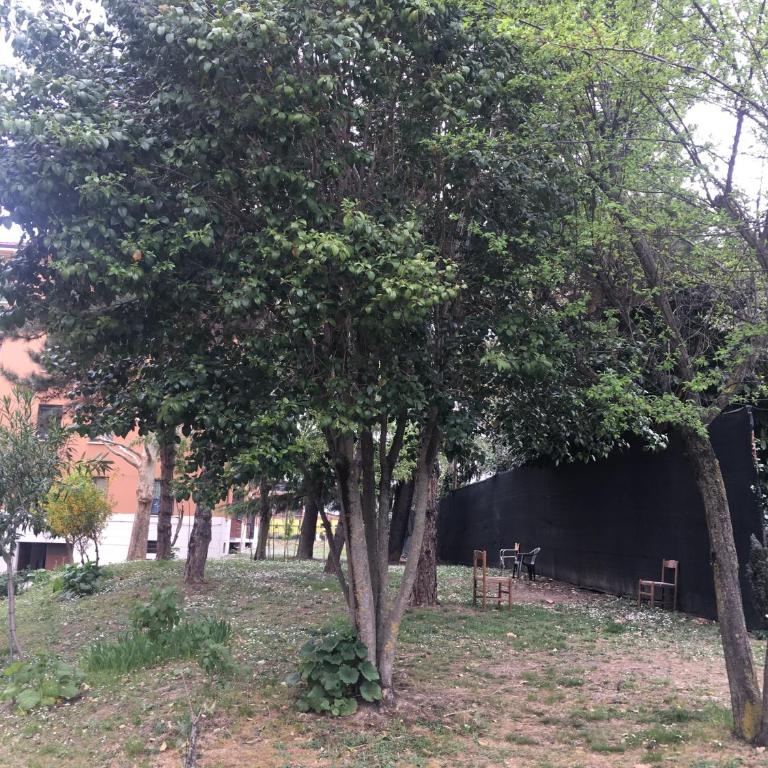 Tra S.Orsola e Fiera - Appartamento Monolocale - 17