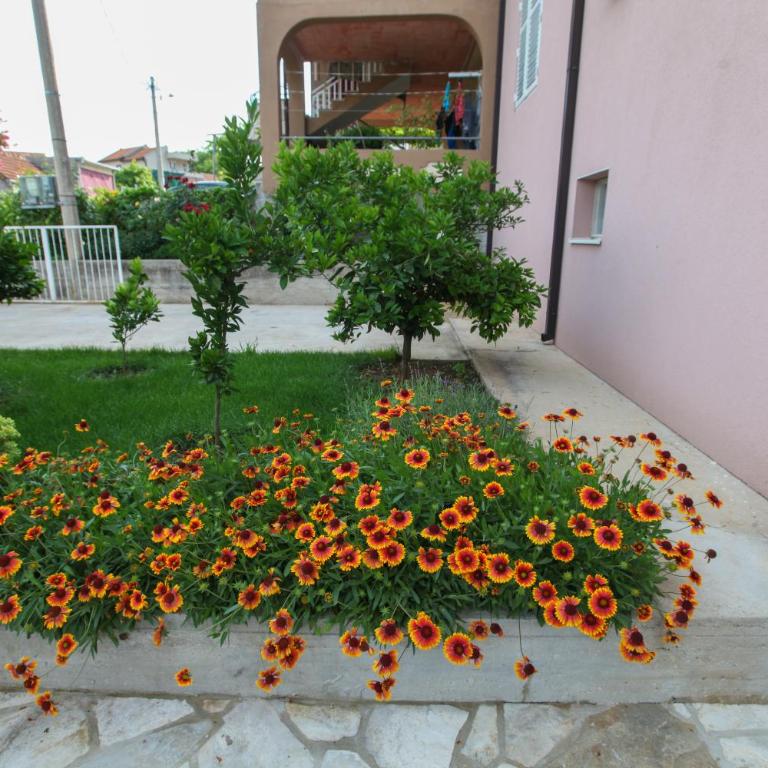 Nijona 1 - Apartman - 10