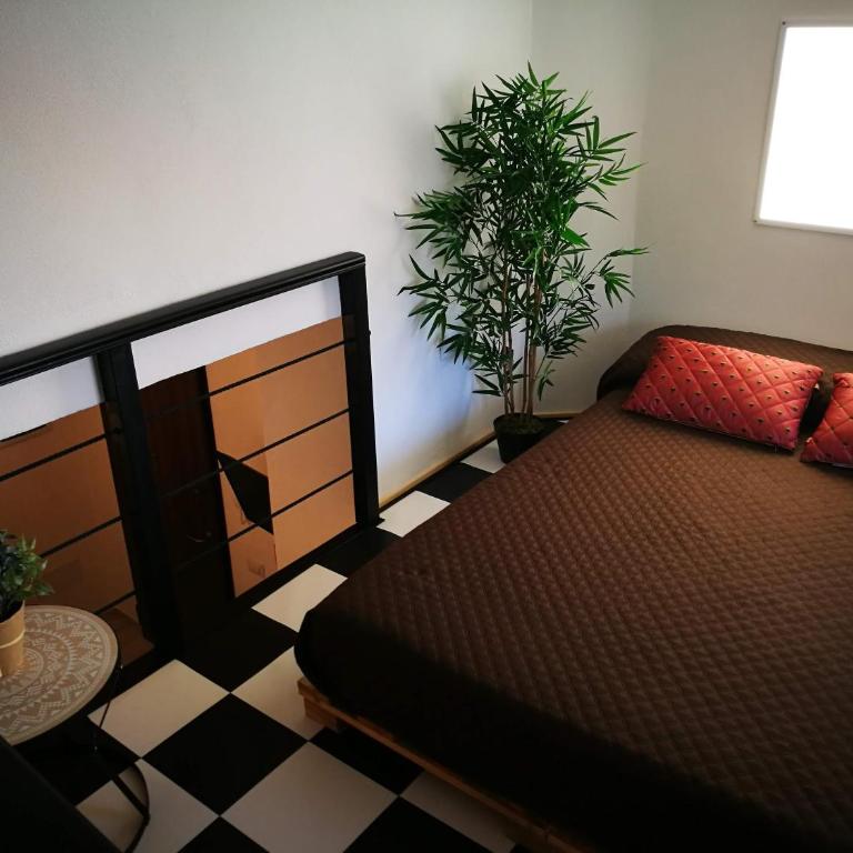 Amelia Apts & Rooms - Appartamentino su 2 Livelli - 10