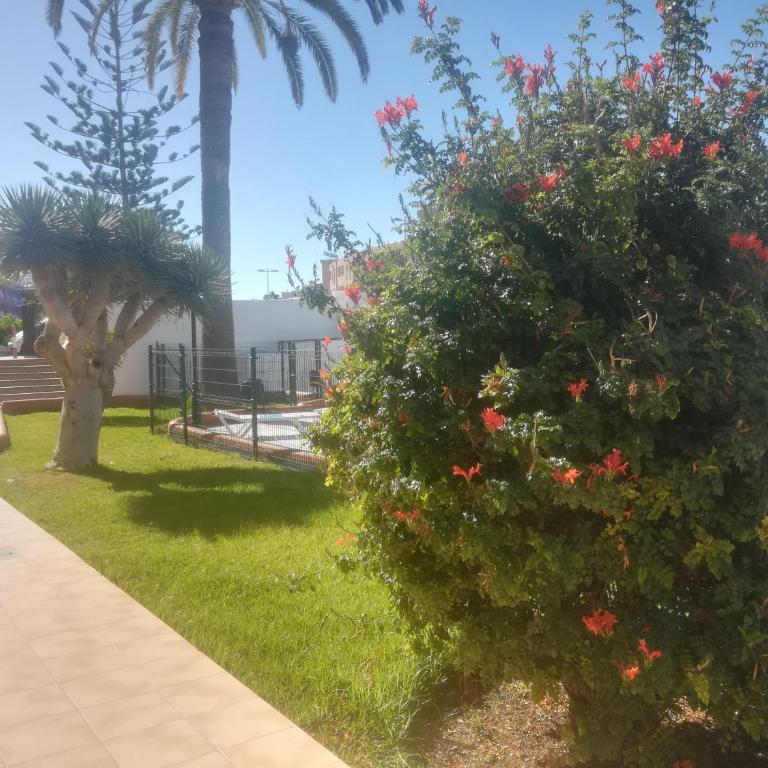 Teror Playa - Apartment with Pool View - 20