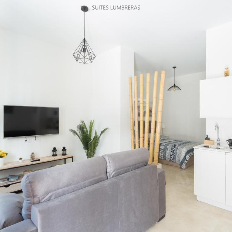Suites Lumbreras - Apartamento Superior - 2