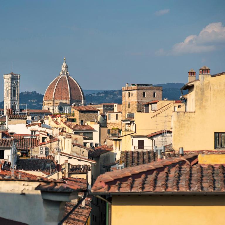 Very Special+Views in Front of Pitti Palace&Garden - Appartamento Attico - 6