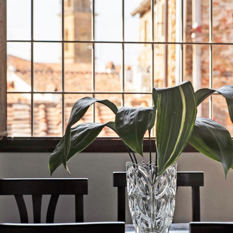 Very Special+Views in Front of Pitti Palace&Garden - Appartamento Attico - 9
