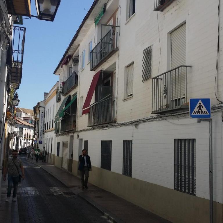 Lineros 24 - Apartamento de 2 dormitorios - 15
