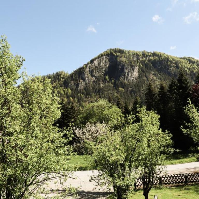 Urlaub am Bauernhof Feldbauer - Einzelzimmer mit Bad - 7
