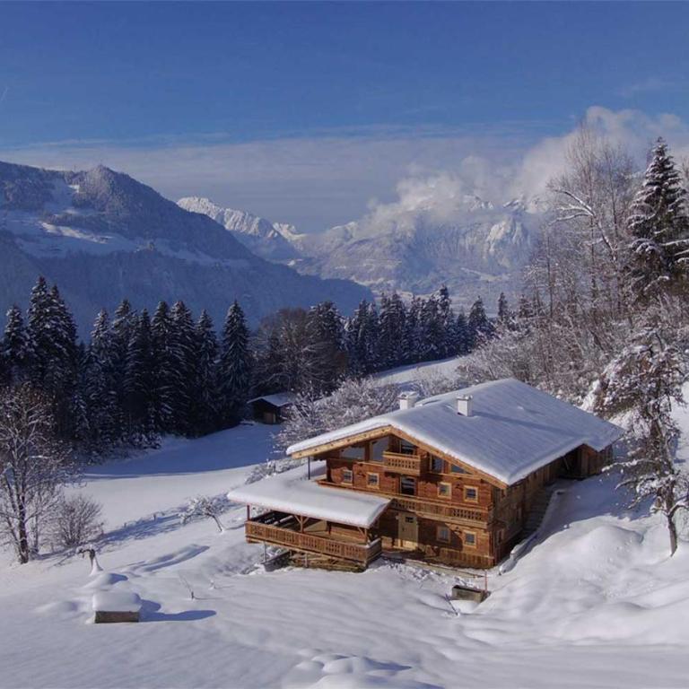 Superior Chalet Brandleit - Chalet Superior - 2