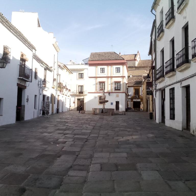 Lineros 24 - Apartamento de 2 dormitorios - 22