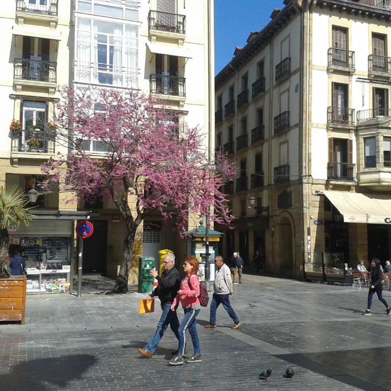 Apartamento El Reloj - Apartamento Superior - 20