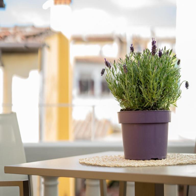 Olive Loft - Appartamento Superior - 29