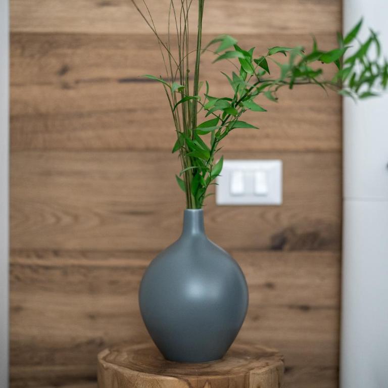 Olive Loft - Appartamento Superior - 45