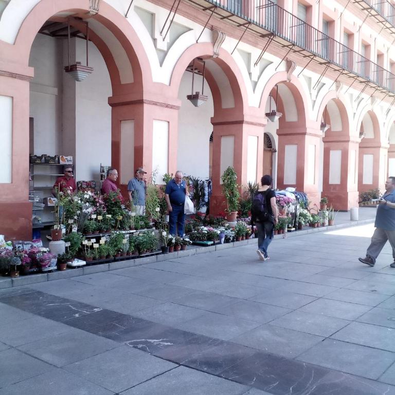 Lineros 24 - Apartamento de 2 dormitorios - 24