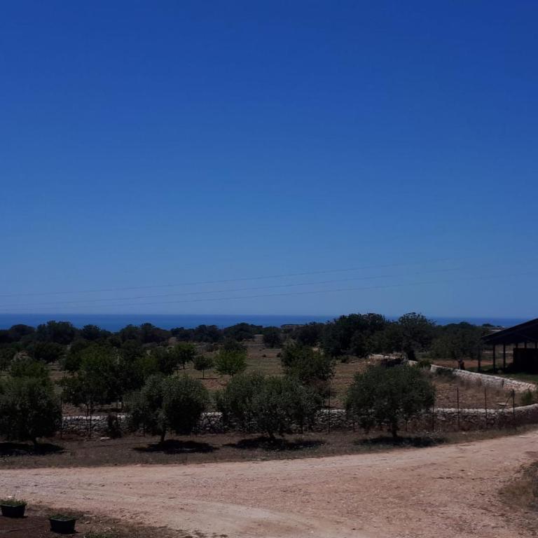 Agriturismo Fattoria delle Milizie - Monolocale con Terrazza - 6