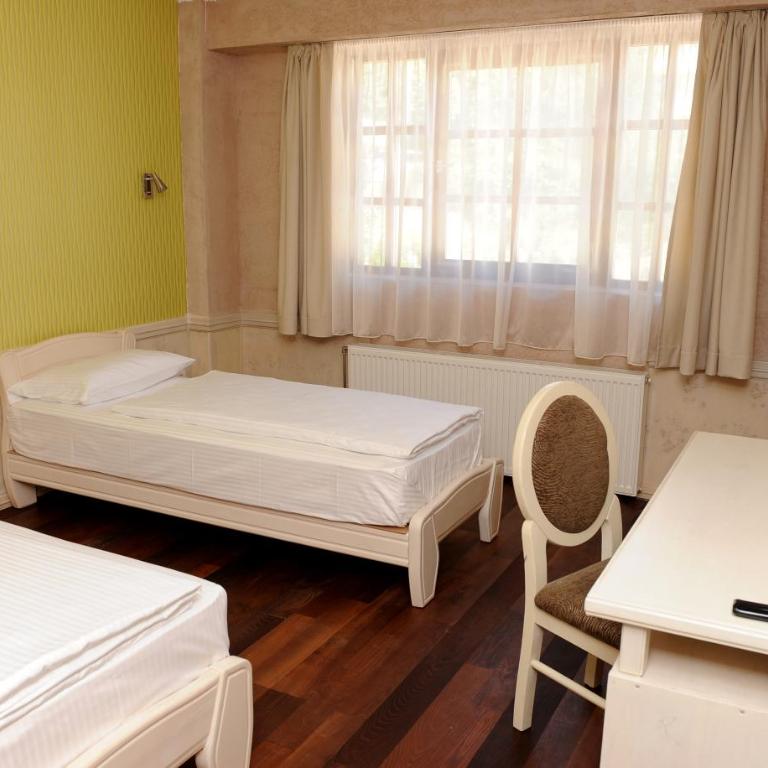 Hotel Centar Balasevic - Dvokrevetna Soba sa Zasebnim Krevetima - 8