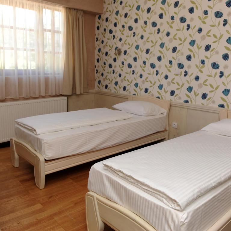 Hotel Centar Balasevic - Dvokrevetna Soba sa Zasebnim Krevetima - 7
