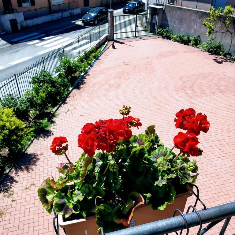 Casa Marina - Appartamento con 2 Camere da Letto - 1