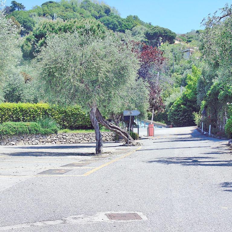 Piana degli Ulivi a Lerici - Appartamento con Vista Mare - 38