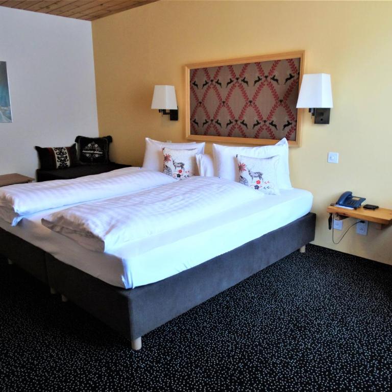 Hotel Bündnerhof - Standard Doppelzimmer - 11