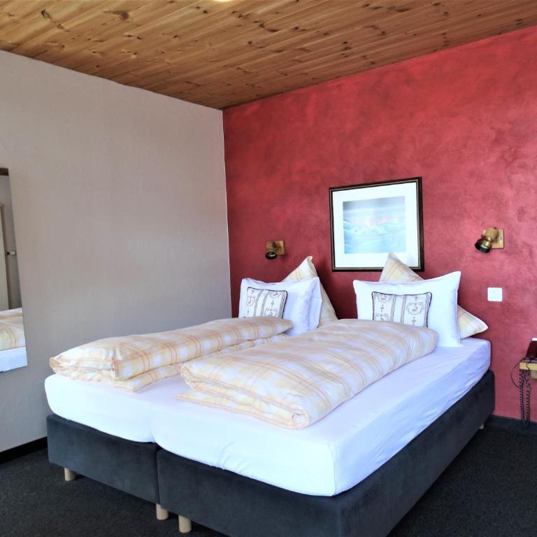 Hotel Bündnerhof - Standard Doppelzimmer - 7