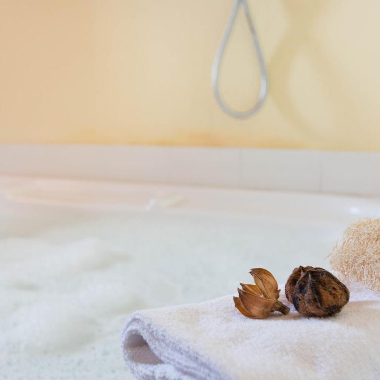 Romantic Suite Canelles - Appartamento Superior - 22