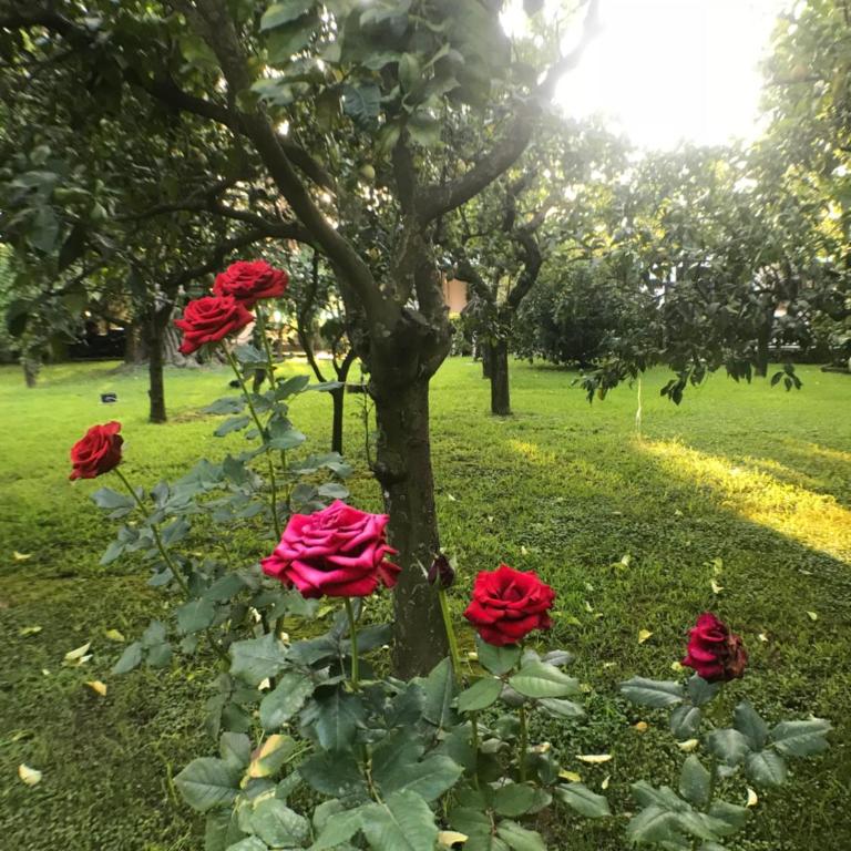 Casa di Olga - Villa con 2 Camere da Letto - 25