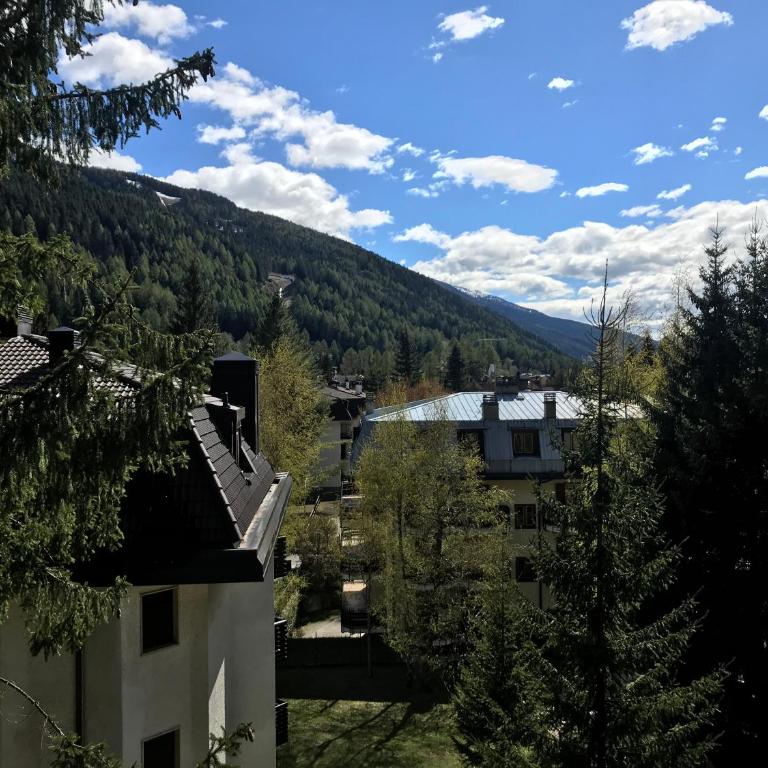 Sonne - AffittiPontediLegno - Appartamento - 11