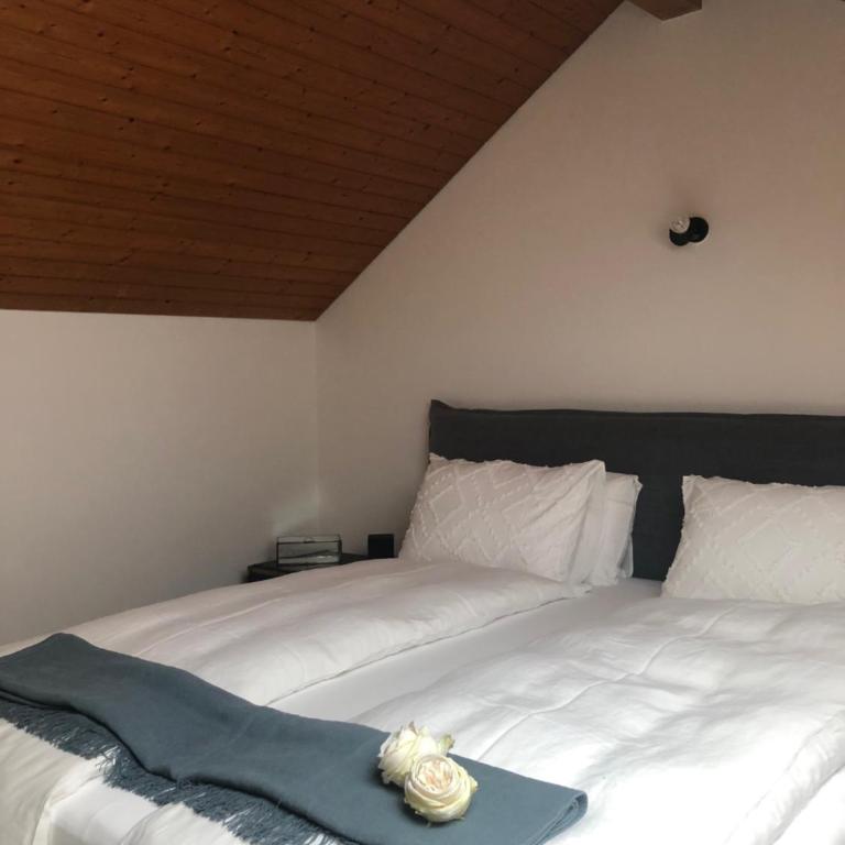 La Corte dell'Ulivo - Apartment mit 1 Schlafzimmer - 21