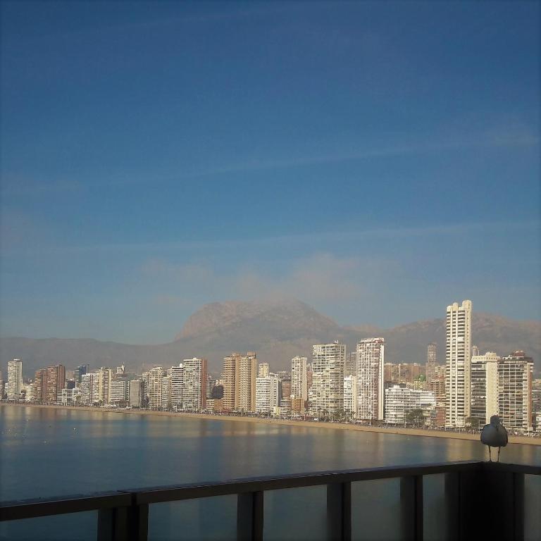 Benidorm Gemelos Sealine - Apartamento Deluxe - 9