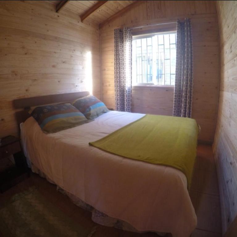 Cabañas Alfa Colbun Machicura - Casa - 2