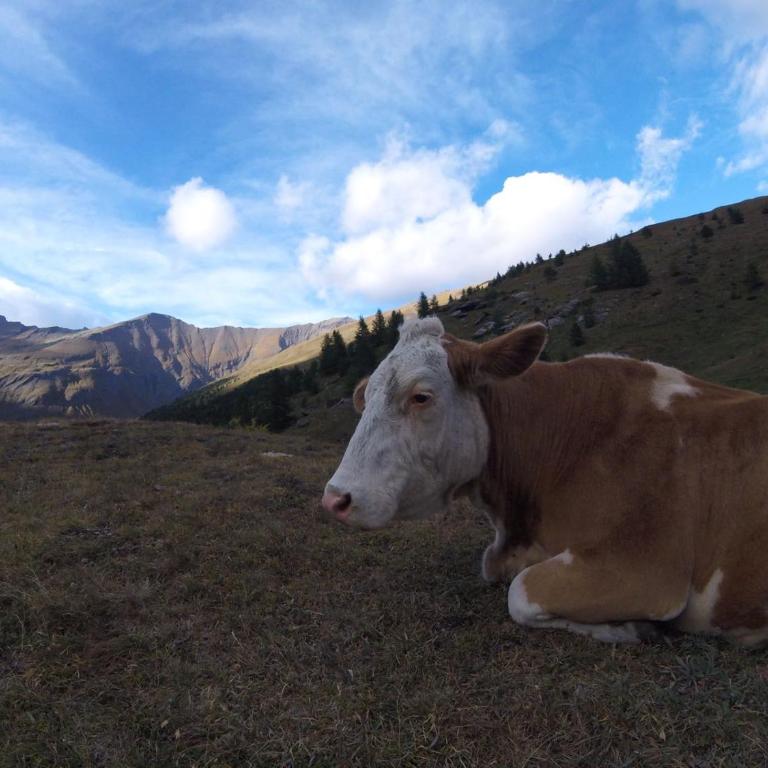 San Marco FARMHOUSE with a view. - Appartamento con Vista Montagna - 32