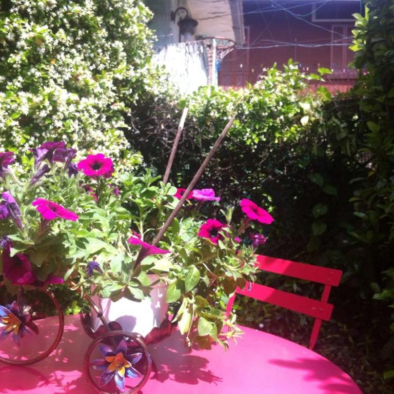 Appartamento Lago Maggiore - Casa Vacanze - 1