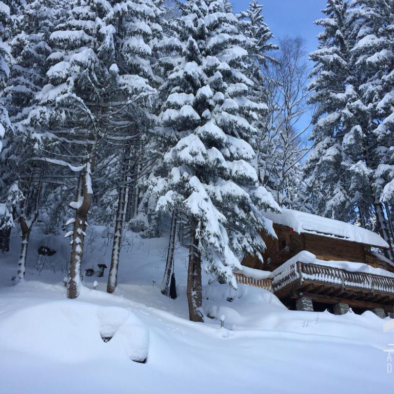 "Mazot de la FIS" - Mazot de Charme avec Vue Imprenable - Chalet mit 1 Schlafzimmer - 5