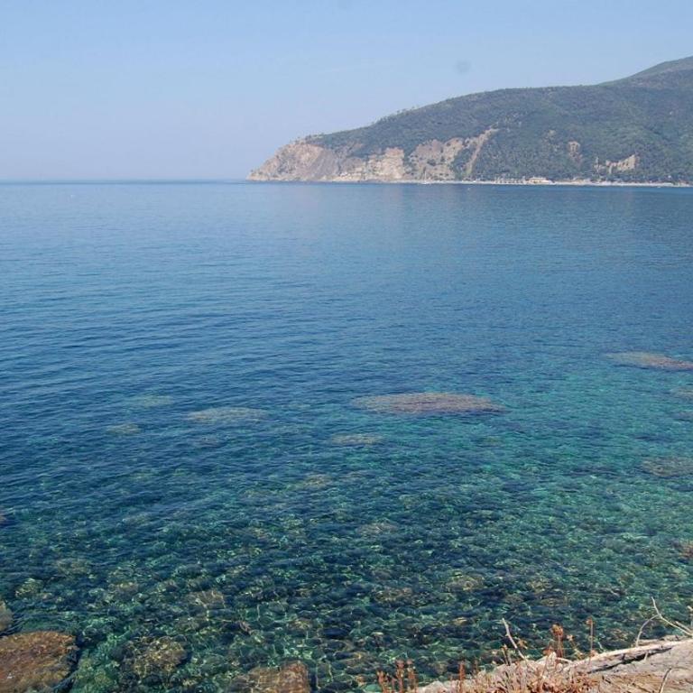 Il Rospo - Bungalow Deluxe con Vista Mare - 5