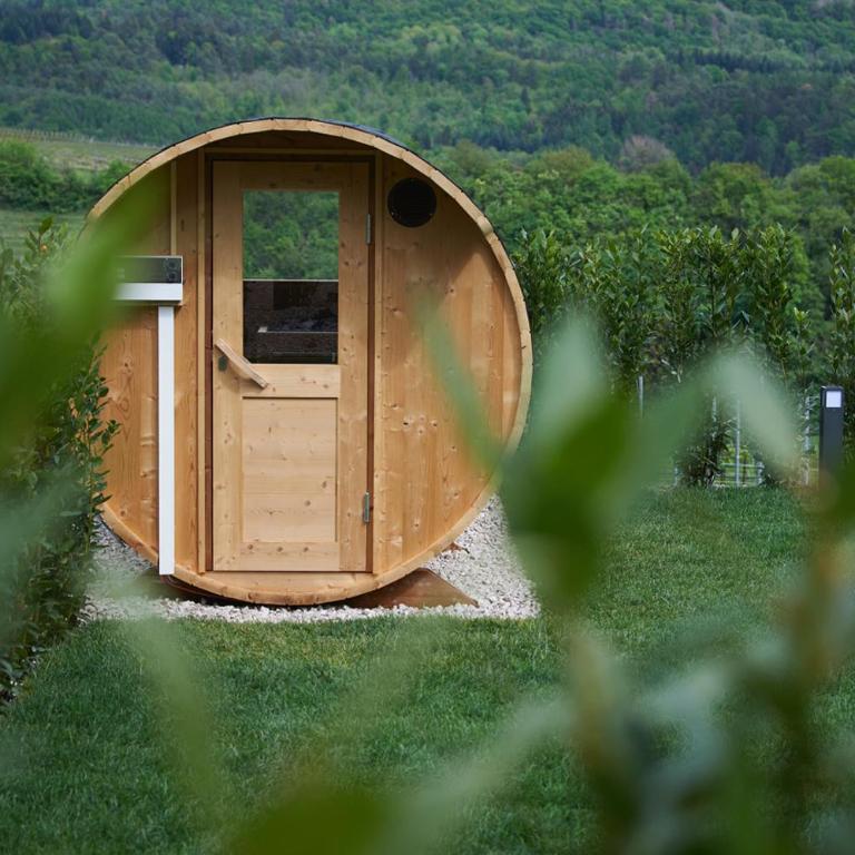 Weingut Windegg - Appartamento con 1 Camera da Letto - 10