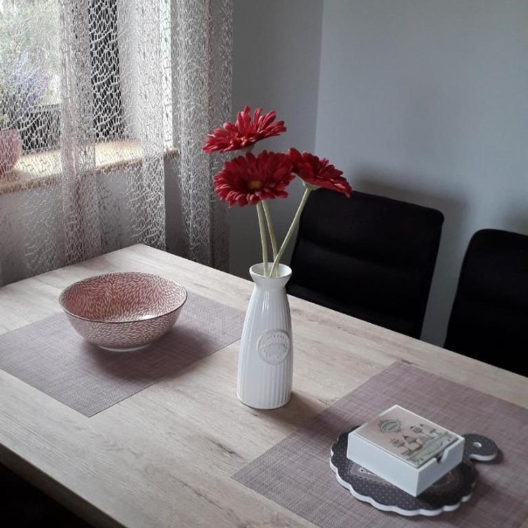 Apartman Nana Svetogorska 19 ,stan 17 - Apartman sa 1 Spavaćom Sobom - 16