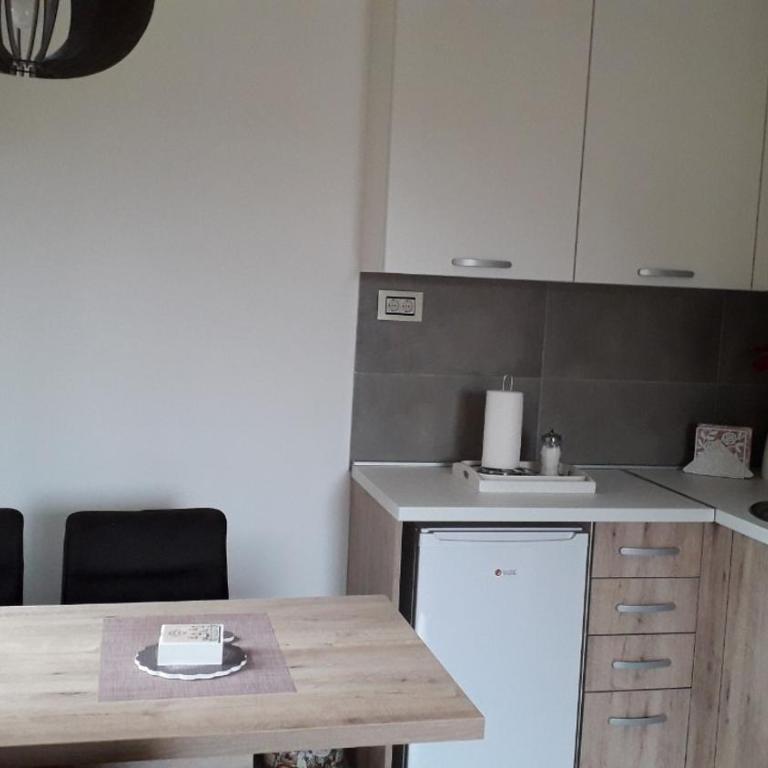 Apartman Nana Svetogorska 19 ,stan 17 - Apartman sa 1 Spavaćom Sobom - 11