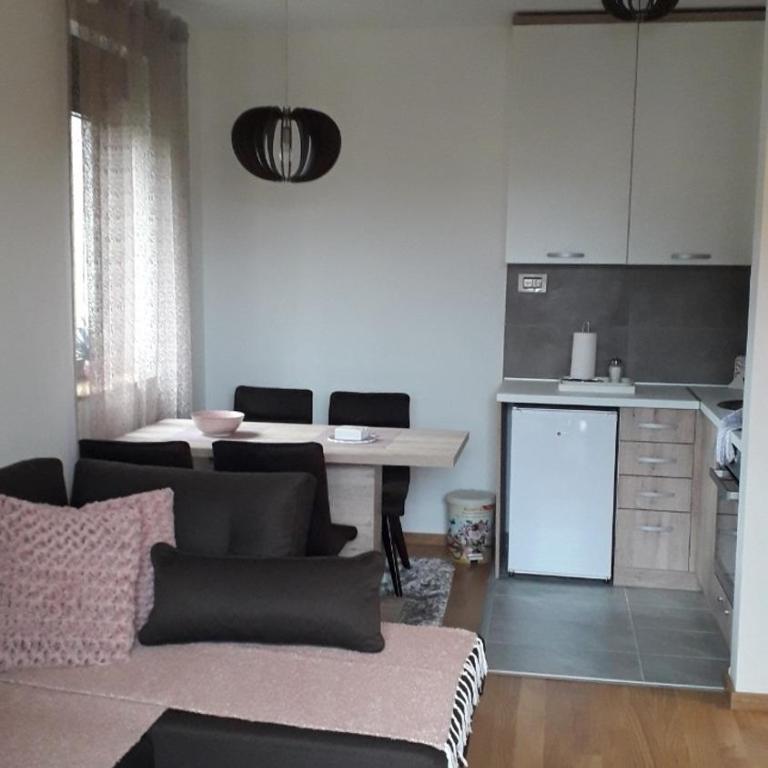 Apartman Nana Svetogorska 19 ,stan 17 - One-Bedroom Apartment - 2