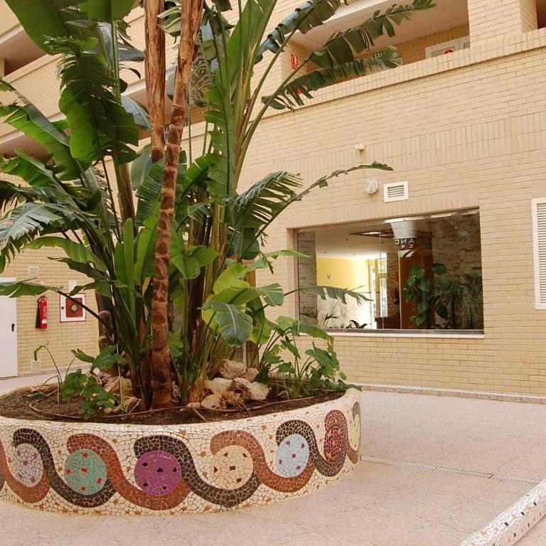 Ático frente al mar. Apartamento TOP - Apartamento de 2 dormitorios - 26