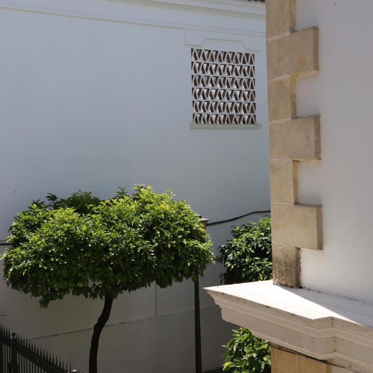 Entre Bodegas Jerez - Apartamento con balcón - Calle Amargura 11 - 8