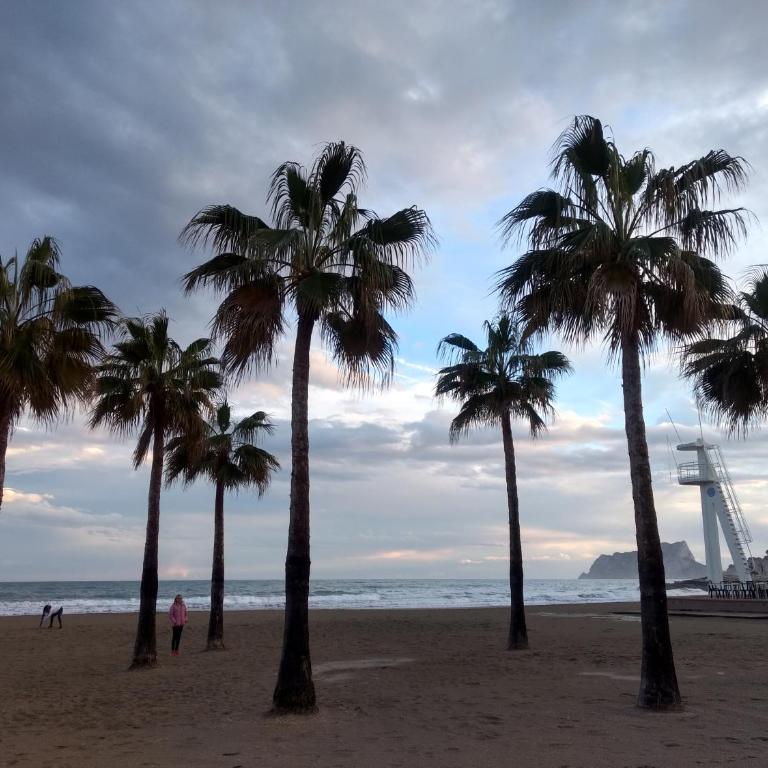 Apartamento Bellas Vistas - Two-Bedroom Apartment - 32