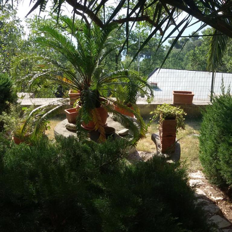 loft sul mare Sirolo - Appartamento Monolocale con Vista Mare - 25