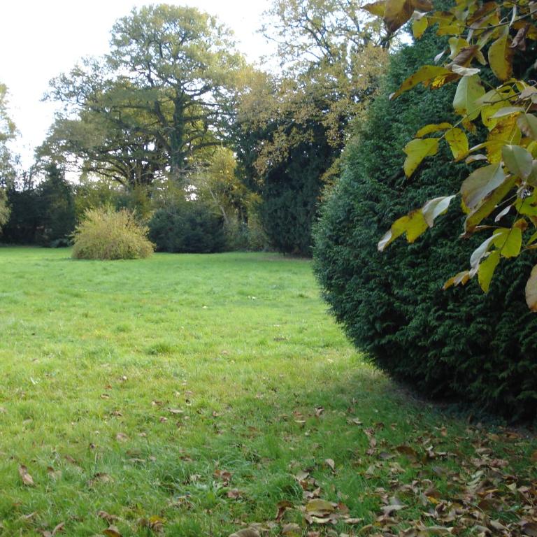 Chateau de Grand Bonnefont - Villa - 35