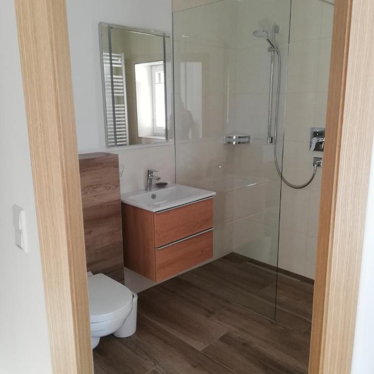 Haslgut - Habitación Individual - 1