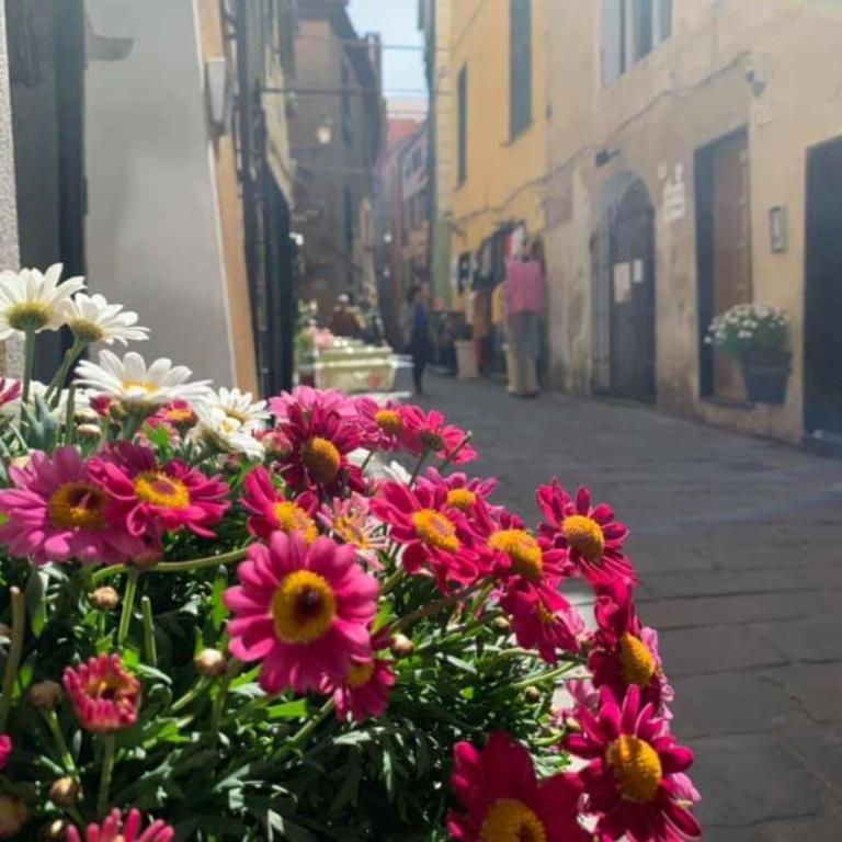 LA CASA SULLA PIAZZETTA - Appartamento con 1 Camera da Letto - 1