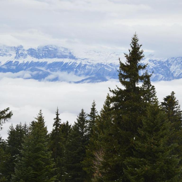 Charmant studio cabine COCOON à 100 m des pistes - Appartamento con Vista Montagna - 16
