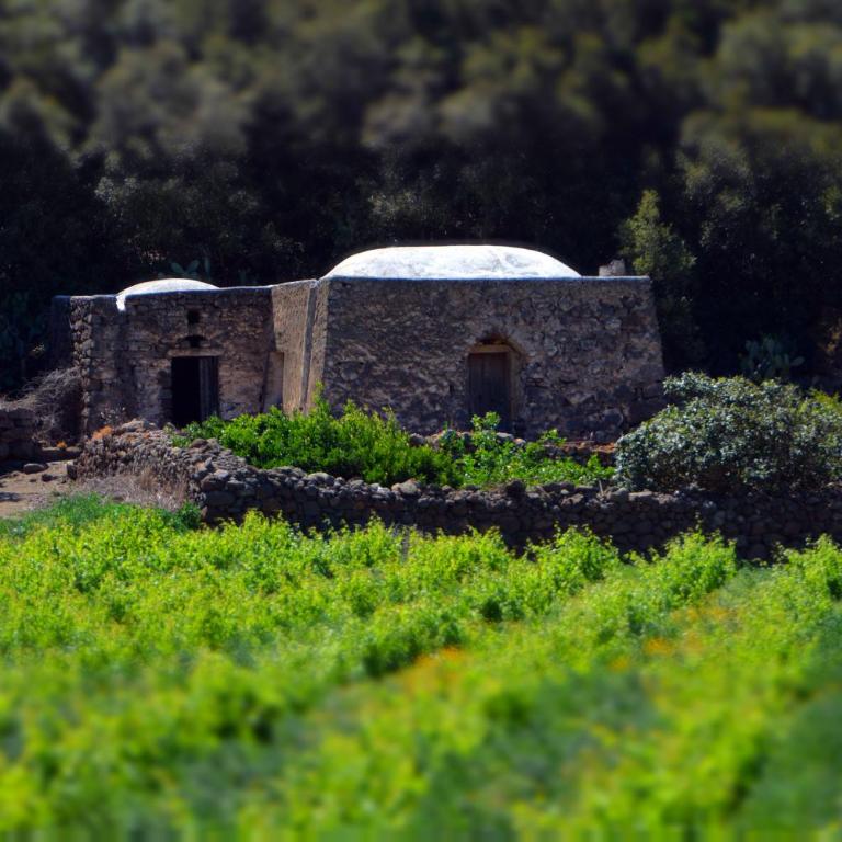 I Dammusi Sapori di Pantelleria - One-Bedroom House - 13