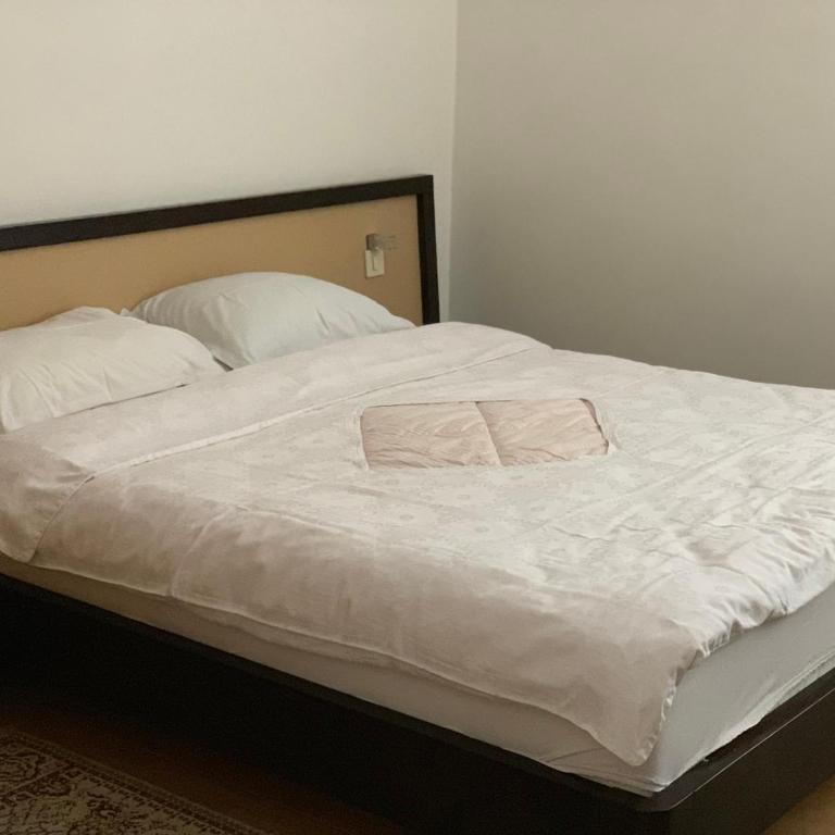 Apartments Zvicer - Milica - Apartman sa 1 Spavaćom Sobom - 8