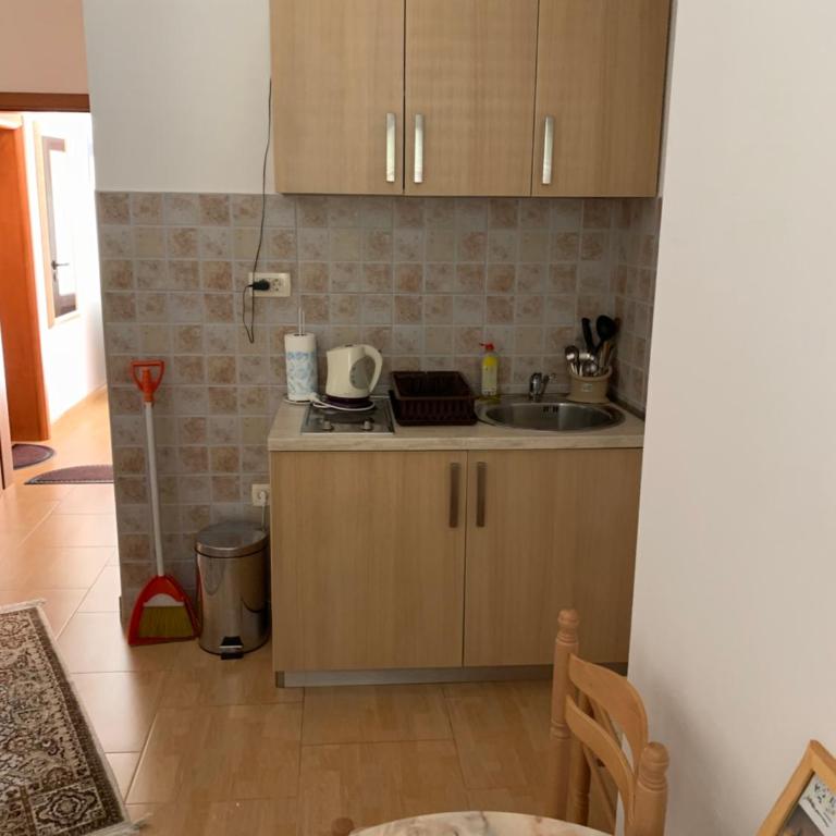 Apartments Zvicer - Milica - Apartman sa 1 Spavaćom Sobom - 7
